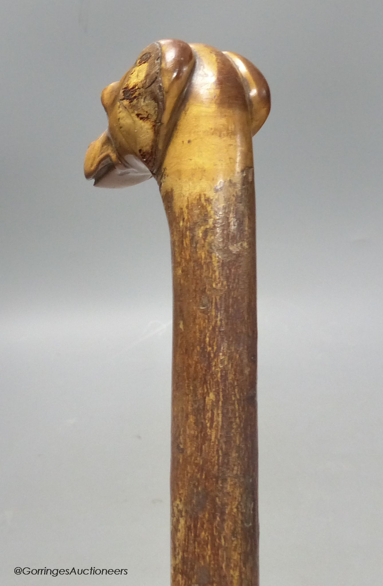 A carved walking stick in the form of a dog's head with glass eyes